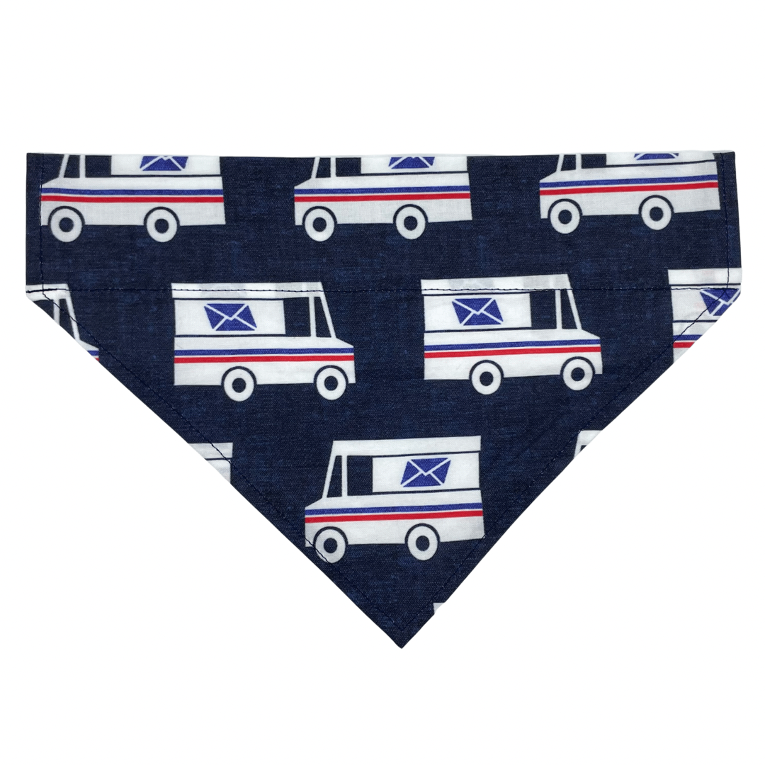 Special Delivery Over The Collar Dog Bandana