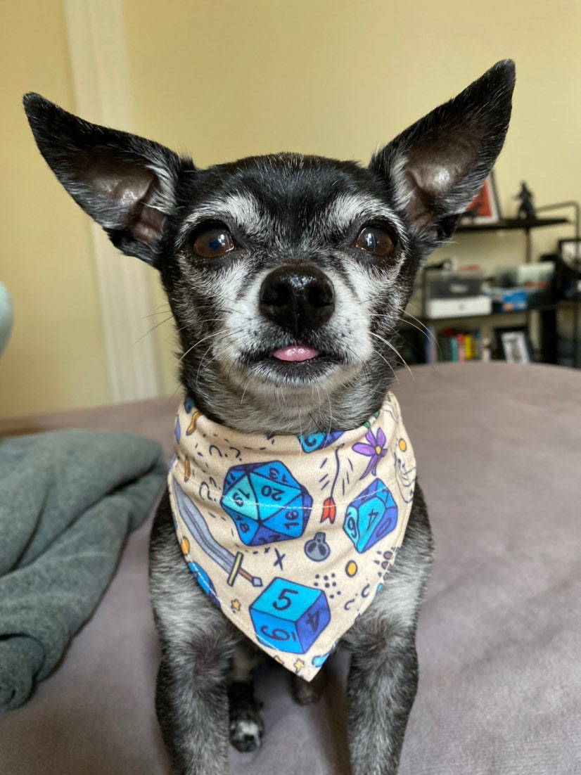 Dice Over The Collar Dog Bandana