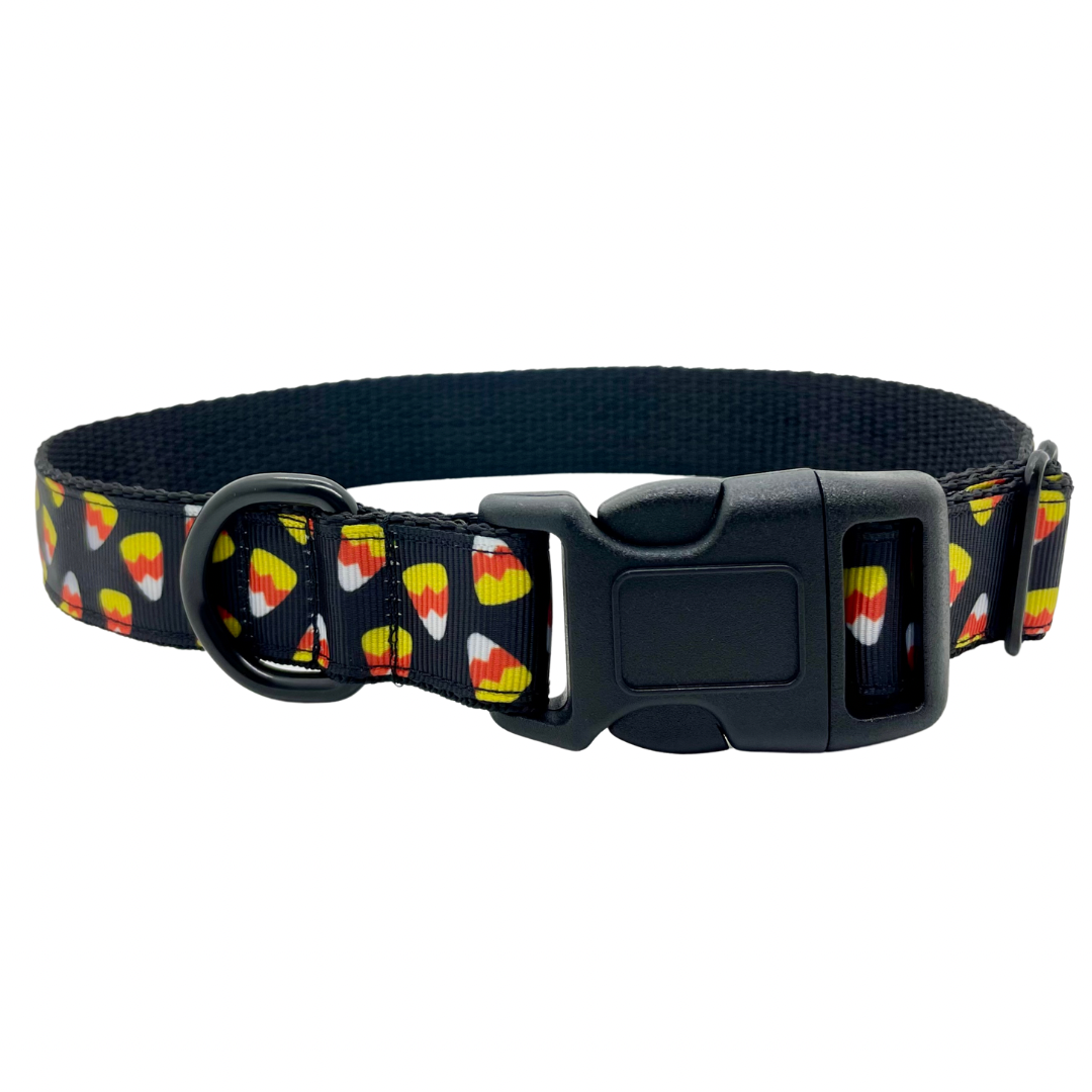 Halloween Candy Corn - Dog Collar