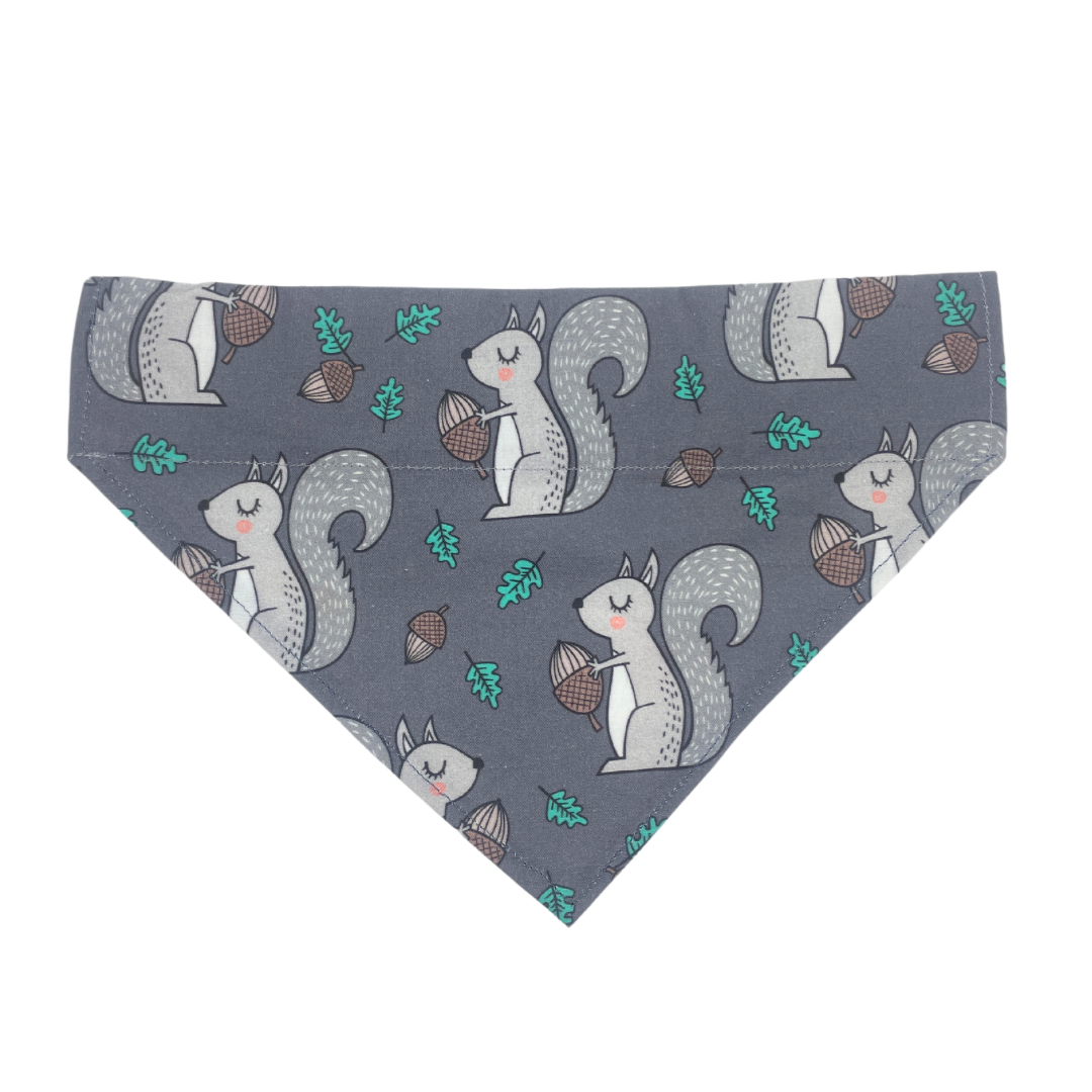 Squirrel Patrol Over The Collar Dog Bandana