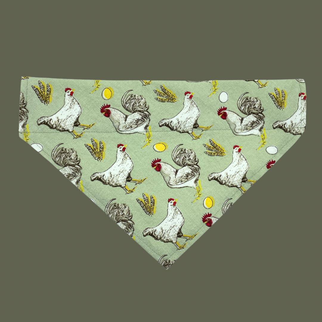 Free Range Chickens - Over The Collar Dog Bandana