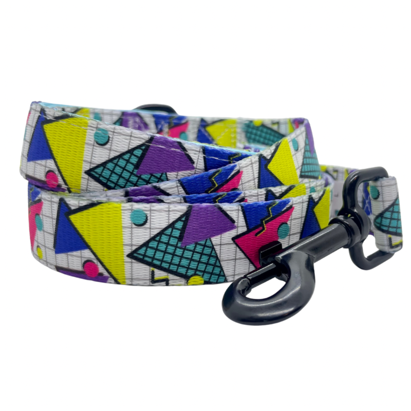 Retro Geometrics Dog Leash