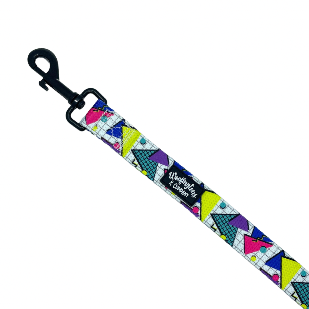 Retro Geometrics Dog Leash