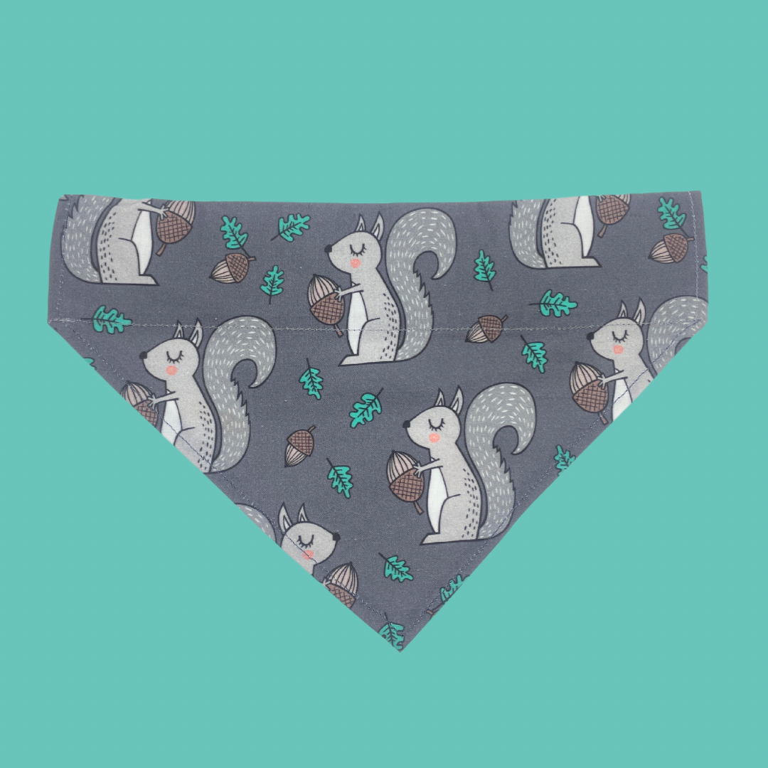 Squirrel Patrol Over The Collar Dog Bandana