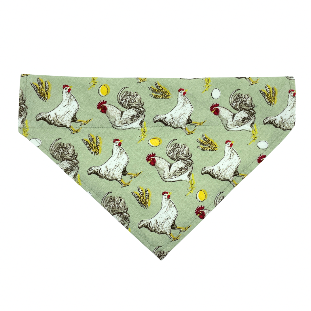 Free Range Chickens - Over The Collar Dog Bandana
