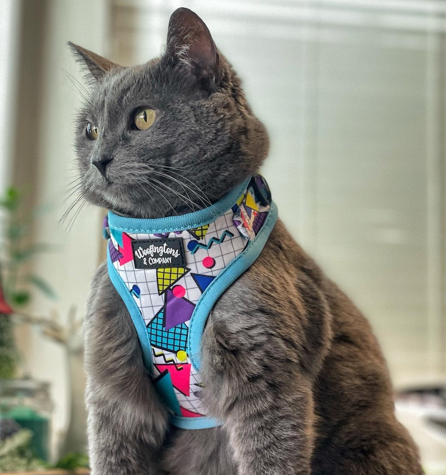 Retro Geometrics Dog Harness