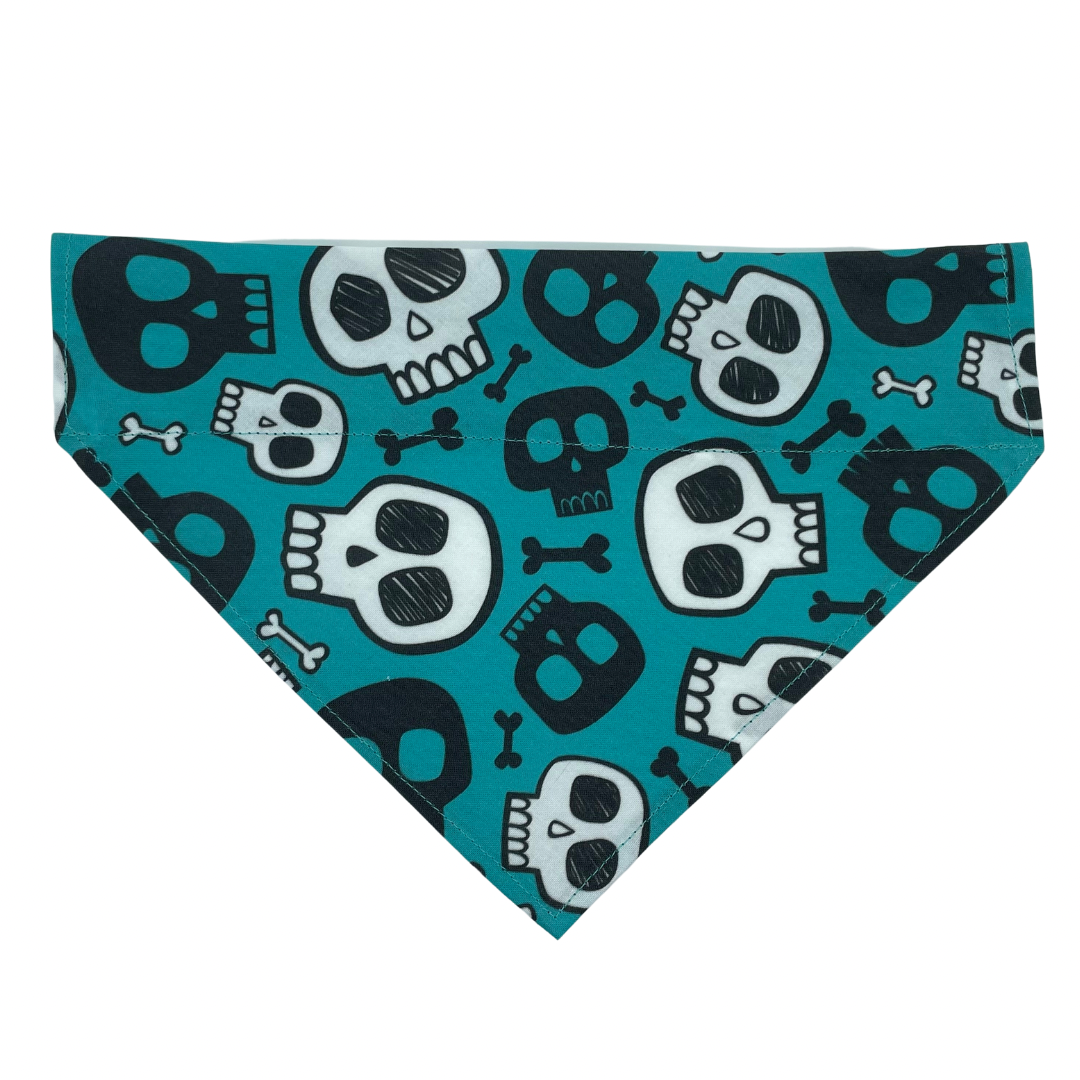 Turquoise Skulls - Over The Collar Dog Bandana