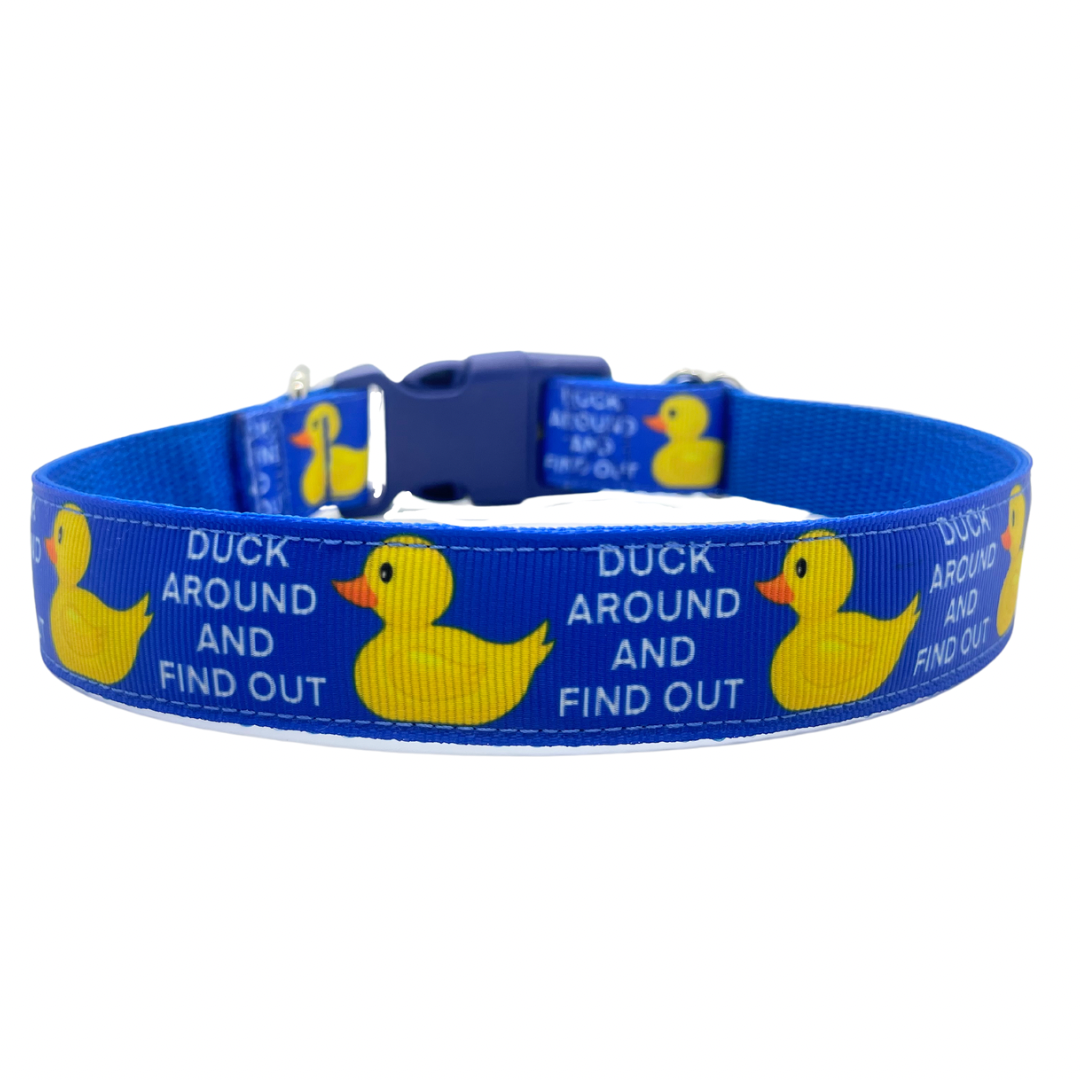 Duck Around Dog Collar