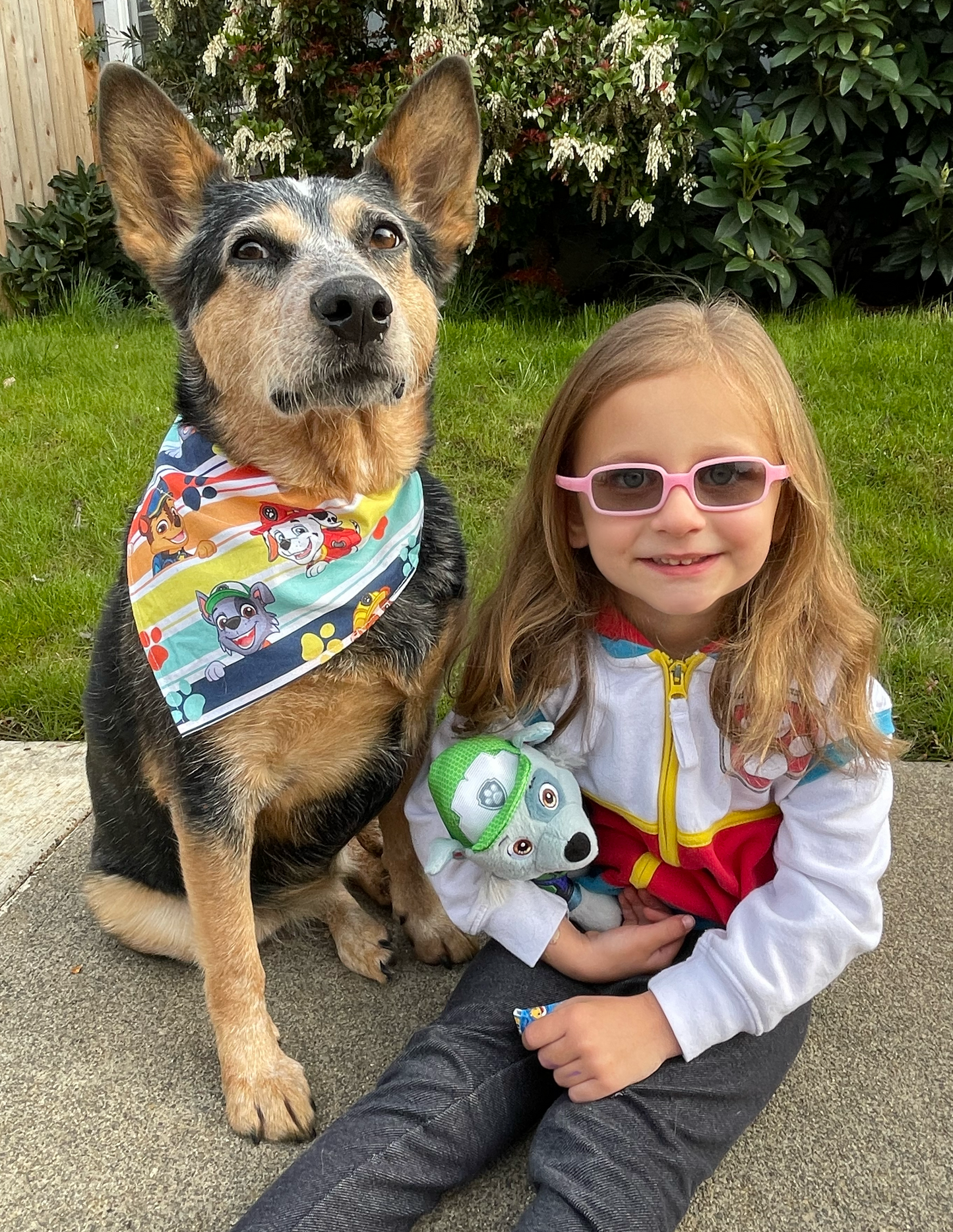 Canadian Cartoon Pups Over The Collar Dog Bandana