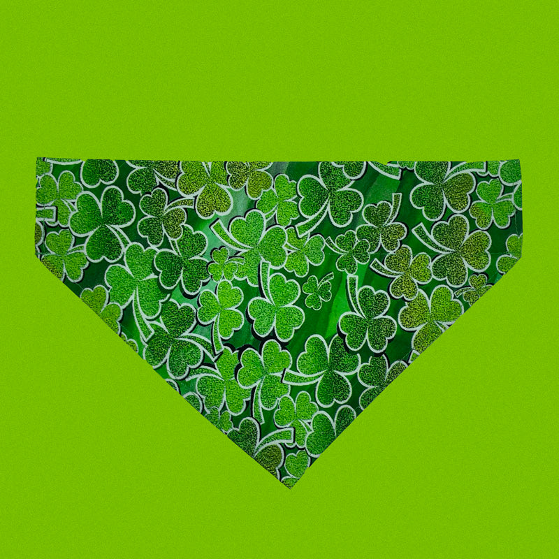 Tossed Clover - Over The Collar Dog Bandana