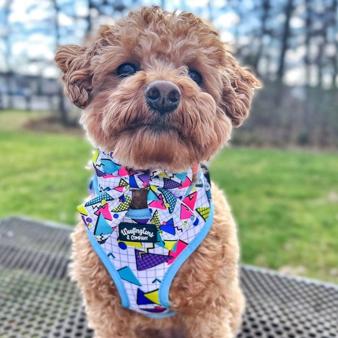 Retro Geometrics Dog Harness