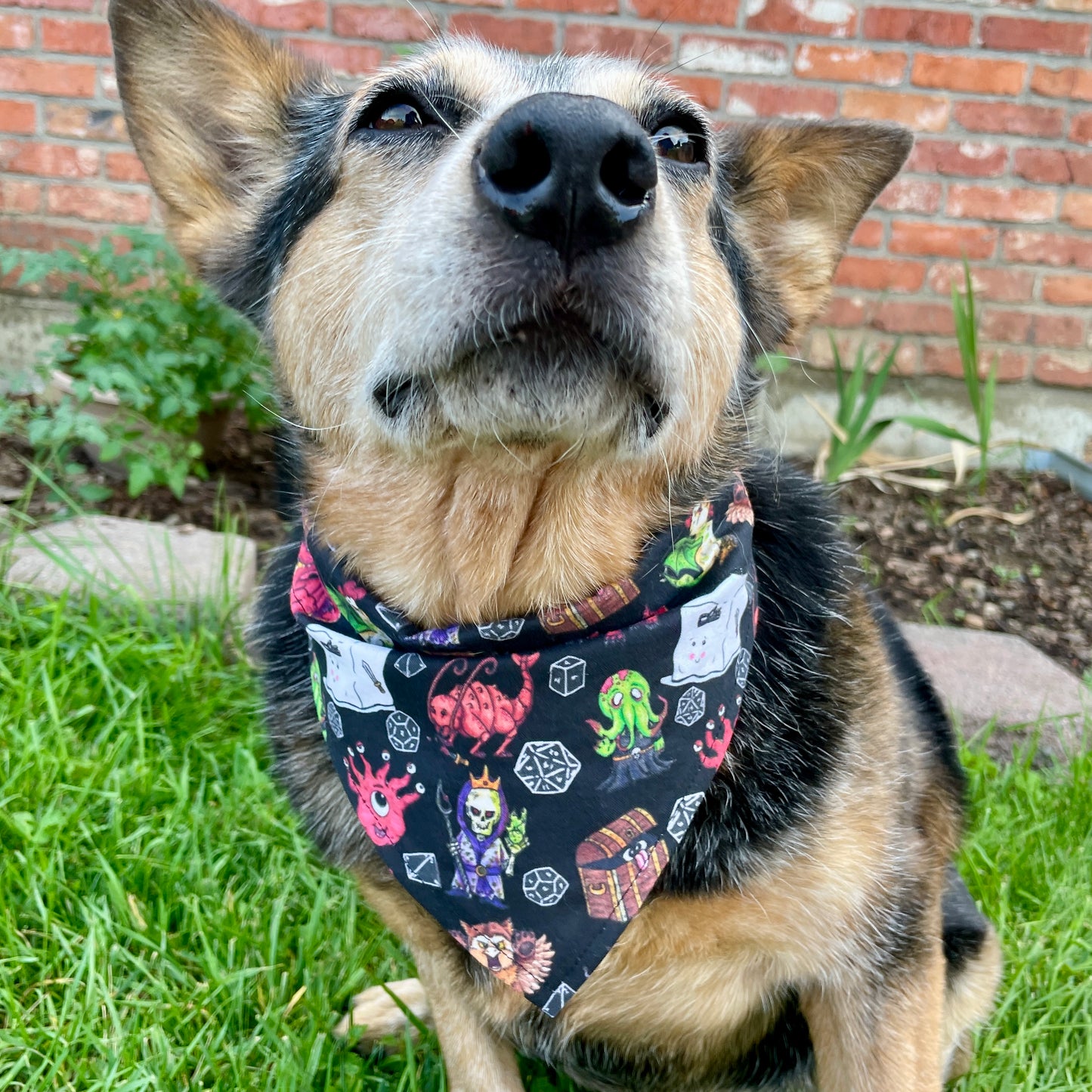 Fiends or Friends? - D&D - Over The Collar Dog Bandana