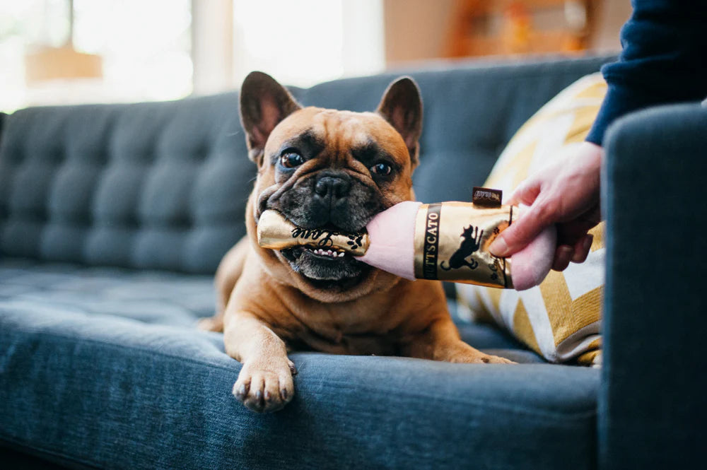 P.L.A.Y - Muttscato Dog Toy