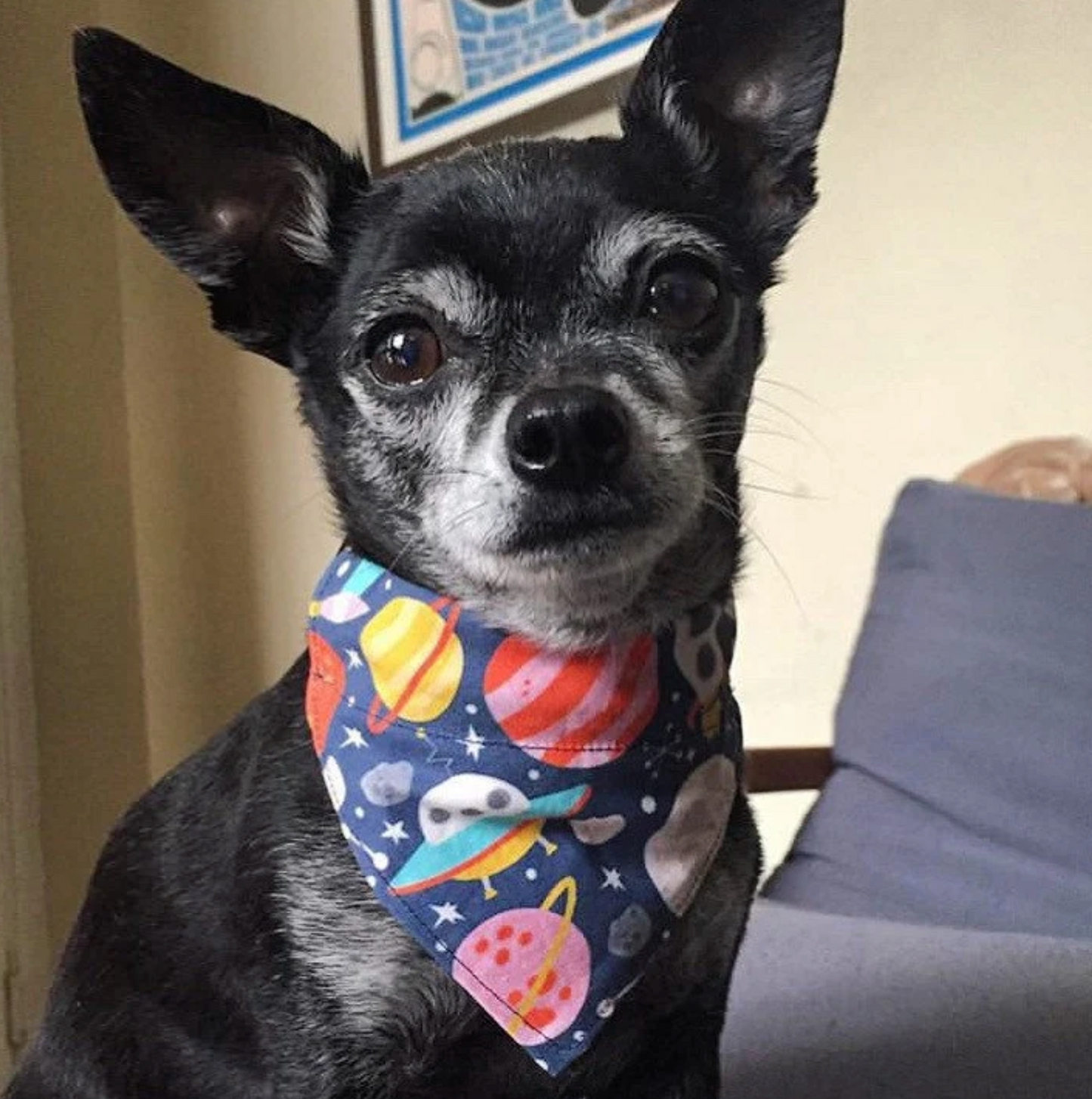 Outer Space Over The Collar Dog Bandana