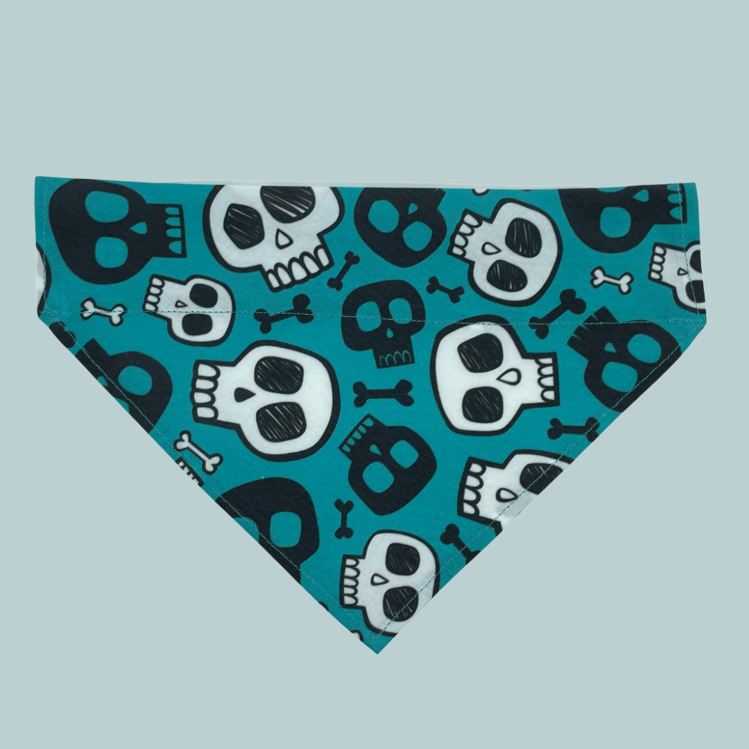 Turquoise Skulls - Over The Collar Dog Bandana