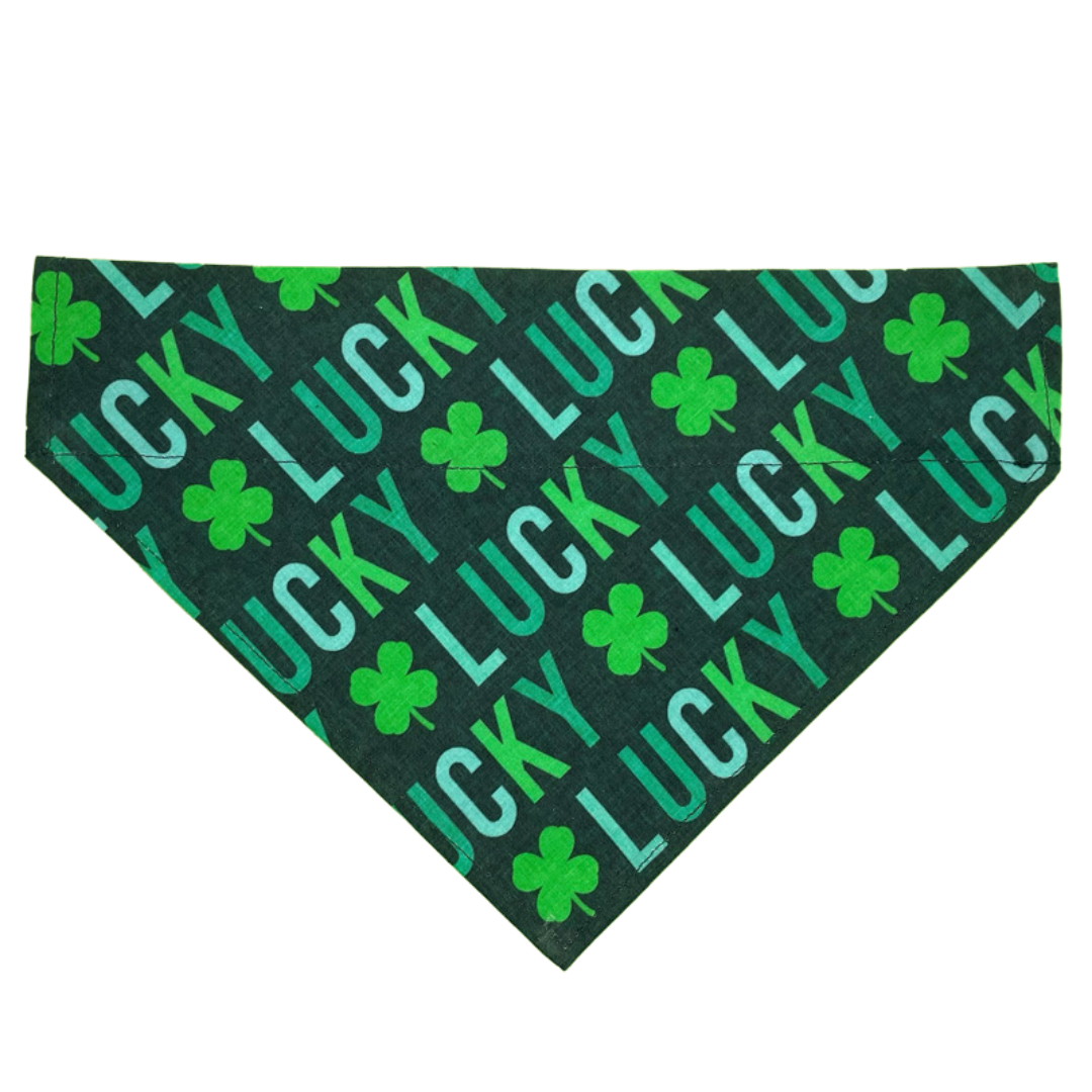 Lucky Dog - Over The Collar Dog Bandana