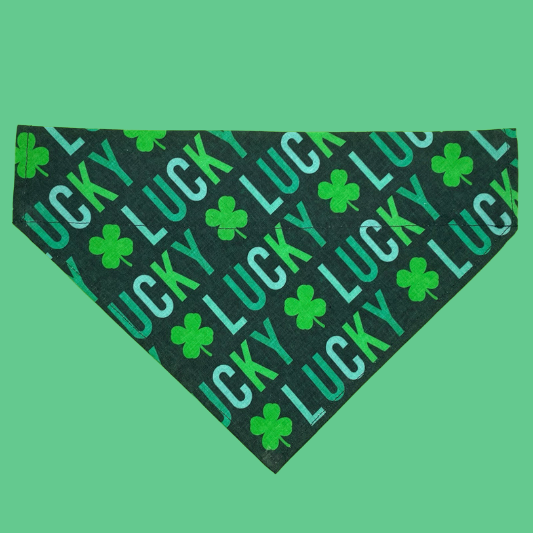 Lucky Dog - Over The Collar Dog Bandana
