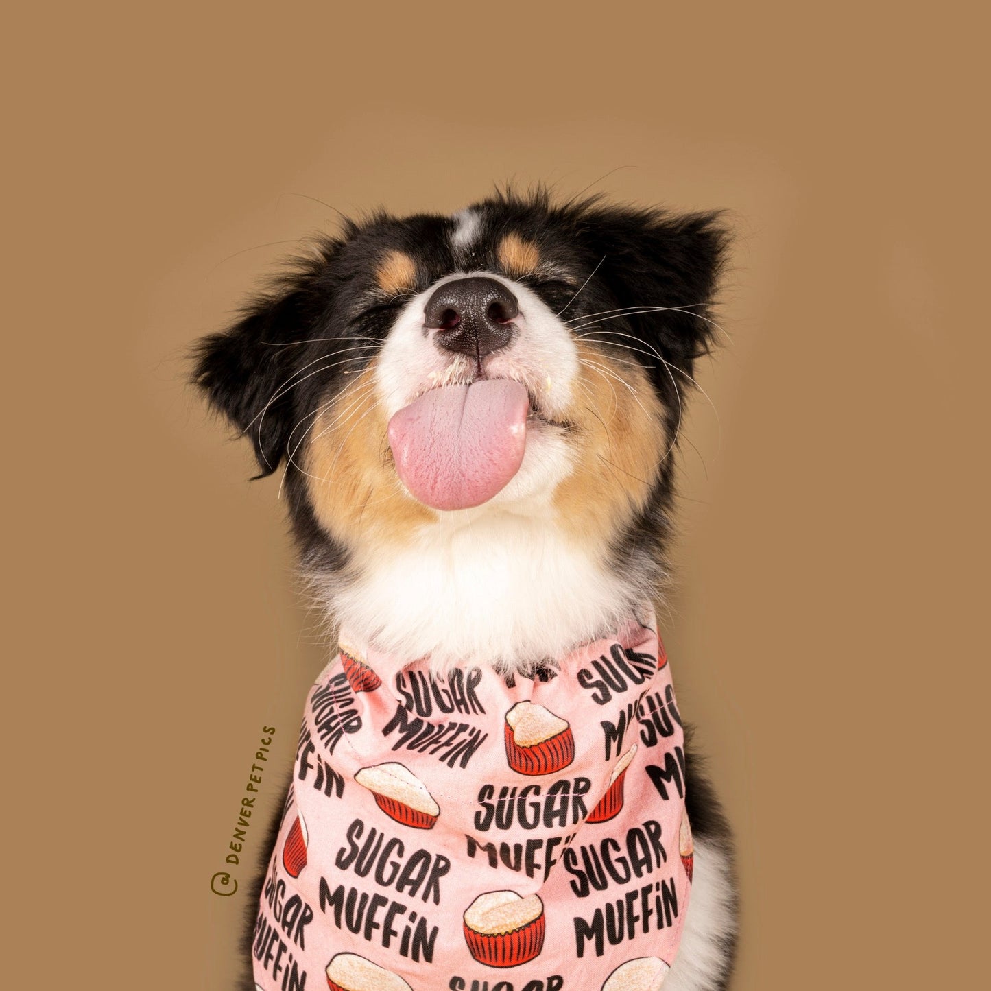 Sugar Muffin Over The Collar Dog Bandana