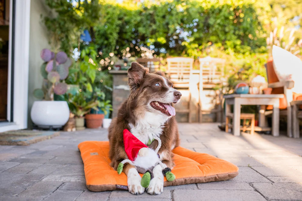 P.L.A.Y - Mythical Creatures - Gnome Dog Toy