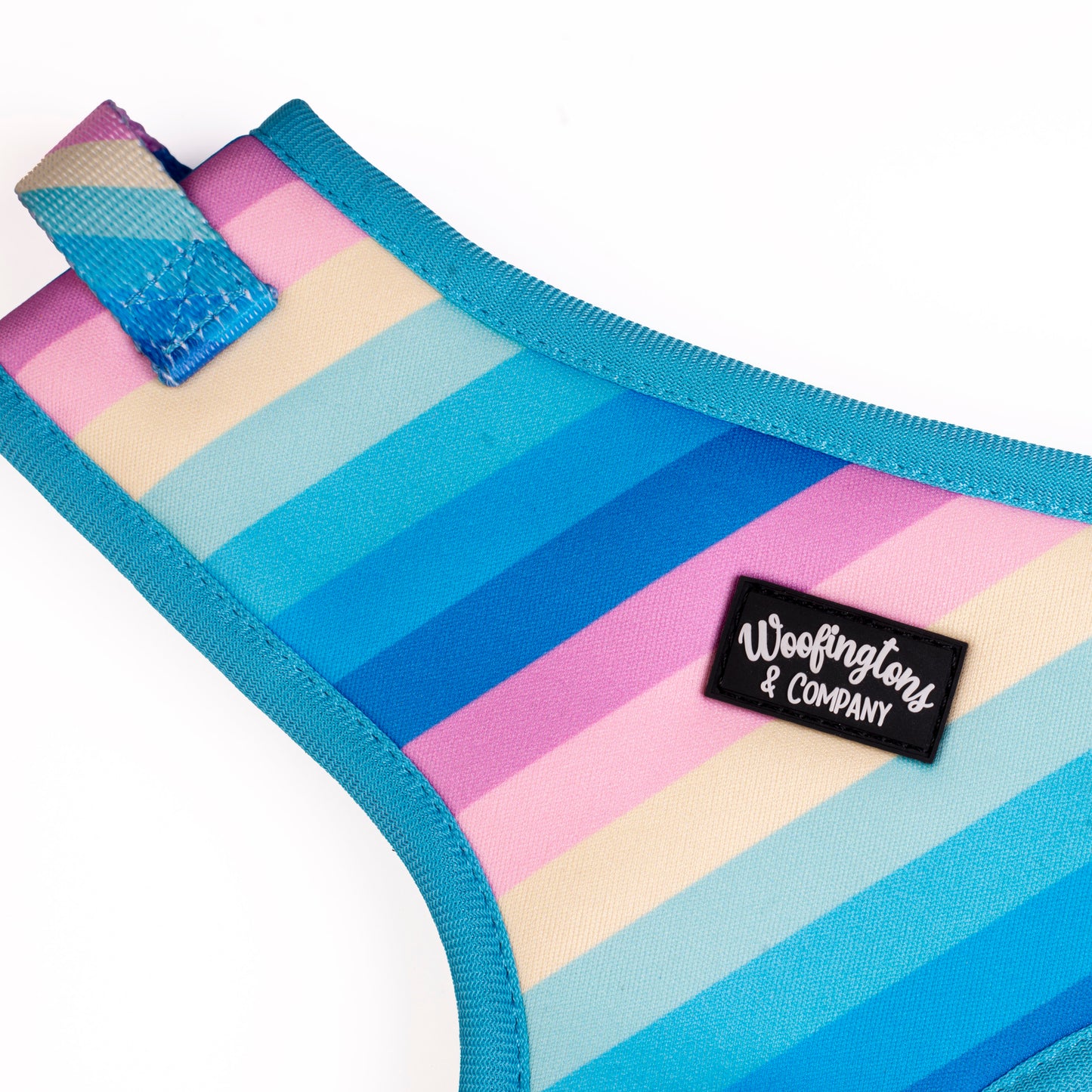 Pastel Rainbow Dog Harness