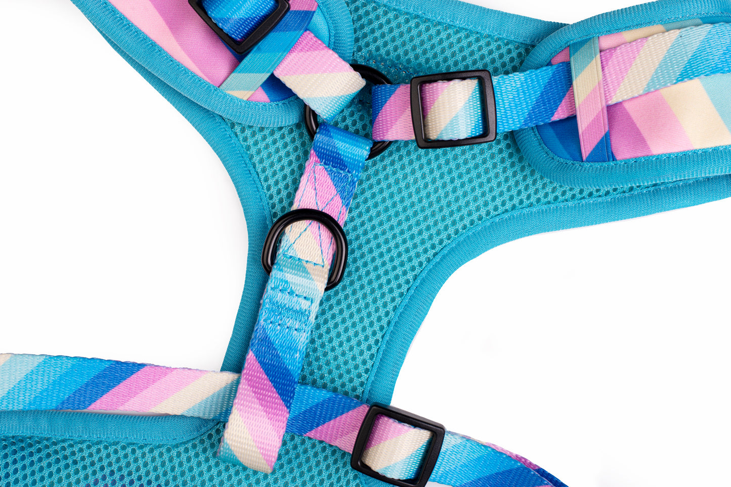 Pastel Rainbow Dog Harness