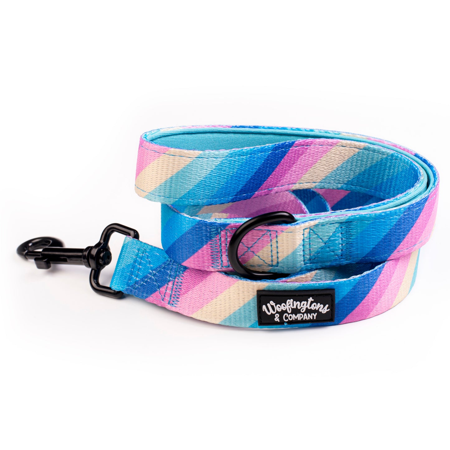 Pastel Rainbow Dog Leash