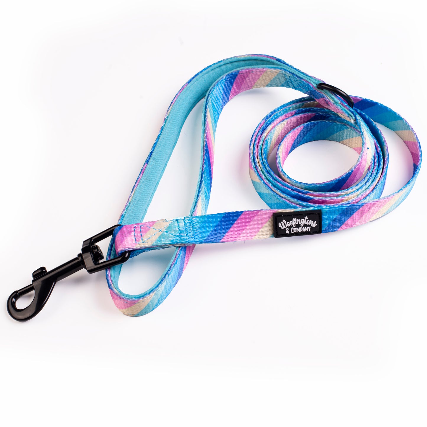 Pastel Rainbow Dog Leash