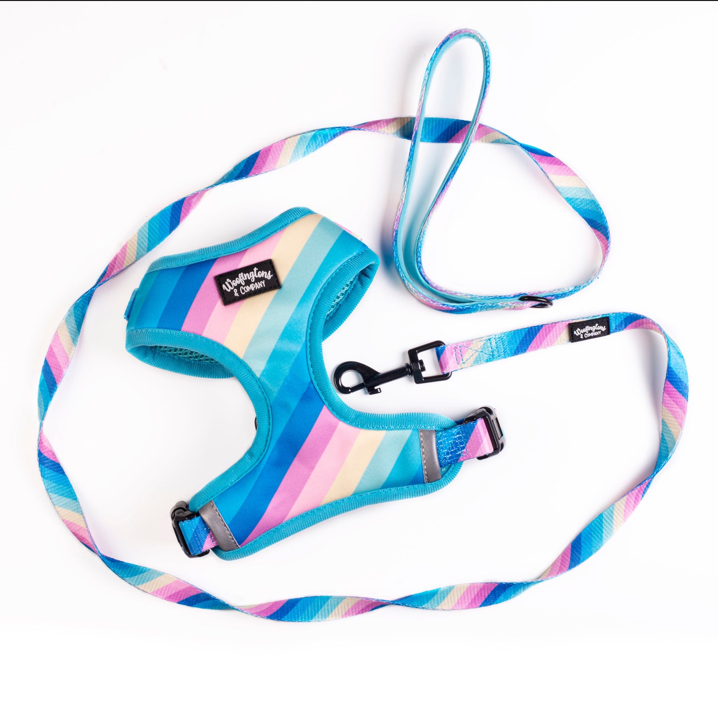 Pastel Rainbow Dog Leash