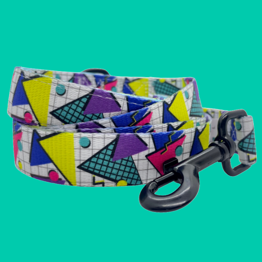 Retro Geometrics Dog Leash