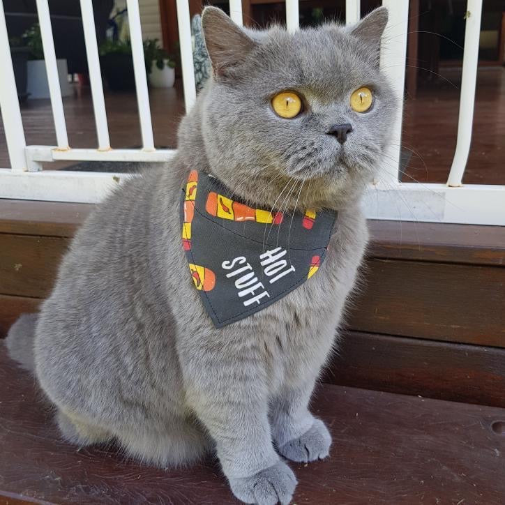 Hot Stuff Over The Collar Dog Bandana