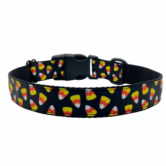 Halloween Candy Corn - Dog Collar