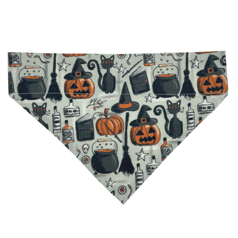 Witches Brew Over The Collar Dog Bandana