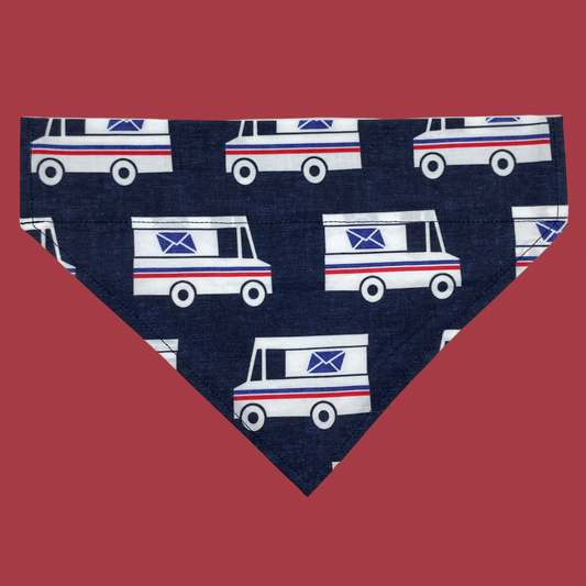 Special Delivery Over The Collar Dog Bandana