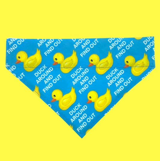 Duck Around And Find Out - Over The Collar Dog Bandana
