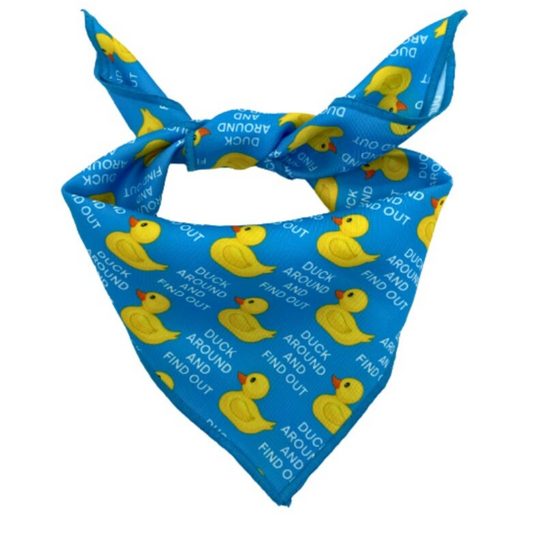Duck Around And Find Out Tie On Dog Bandana