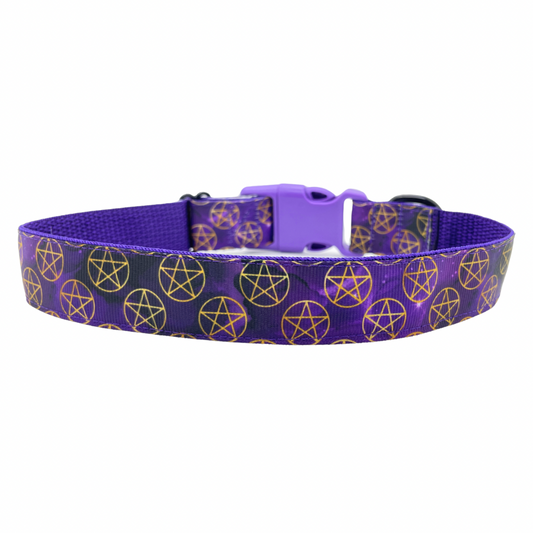 Pentagram Demon Hunter TV Show - Dog Collar