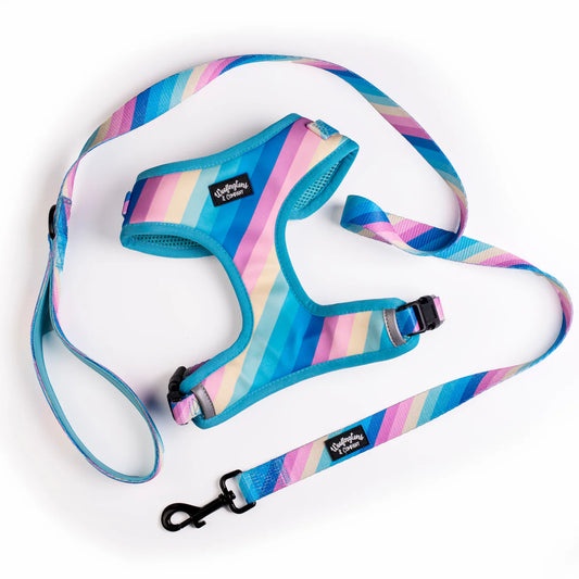 Pastel Rainbow Harness & Leash Combo